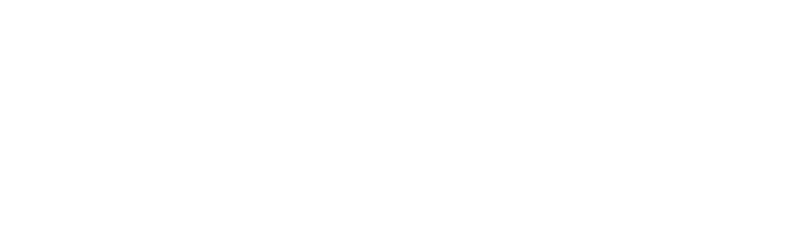 Softown Solutions
